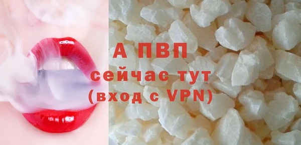 гашик Баксан