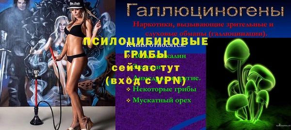 крисы Балахна