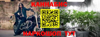 индика Кунгур