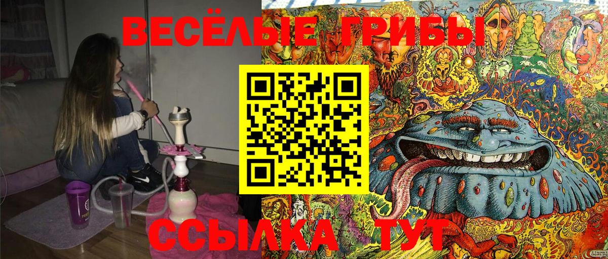 Галлюциногенные грибы Magic Shrooms  Вход с VPN  Псилоцибиновые грибы мицелий  Долгопрудный 