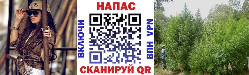 мега ONION  Долгопрудный  Конопля THC 21%  мориарти наркотические препараты  что такое наркотик 